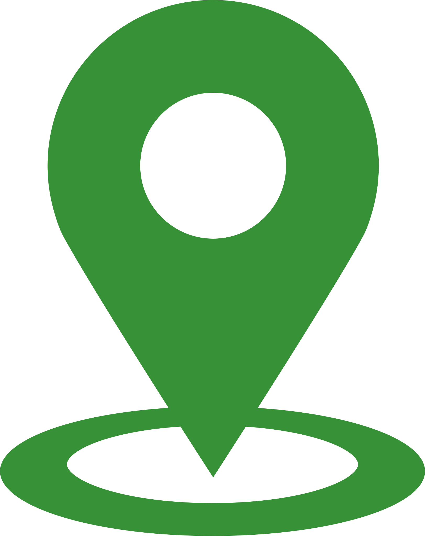 location pin icon.svg (4)